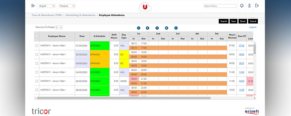 Time Attendance